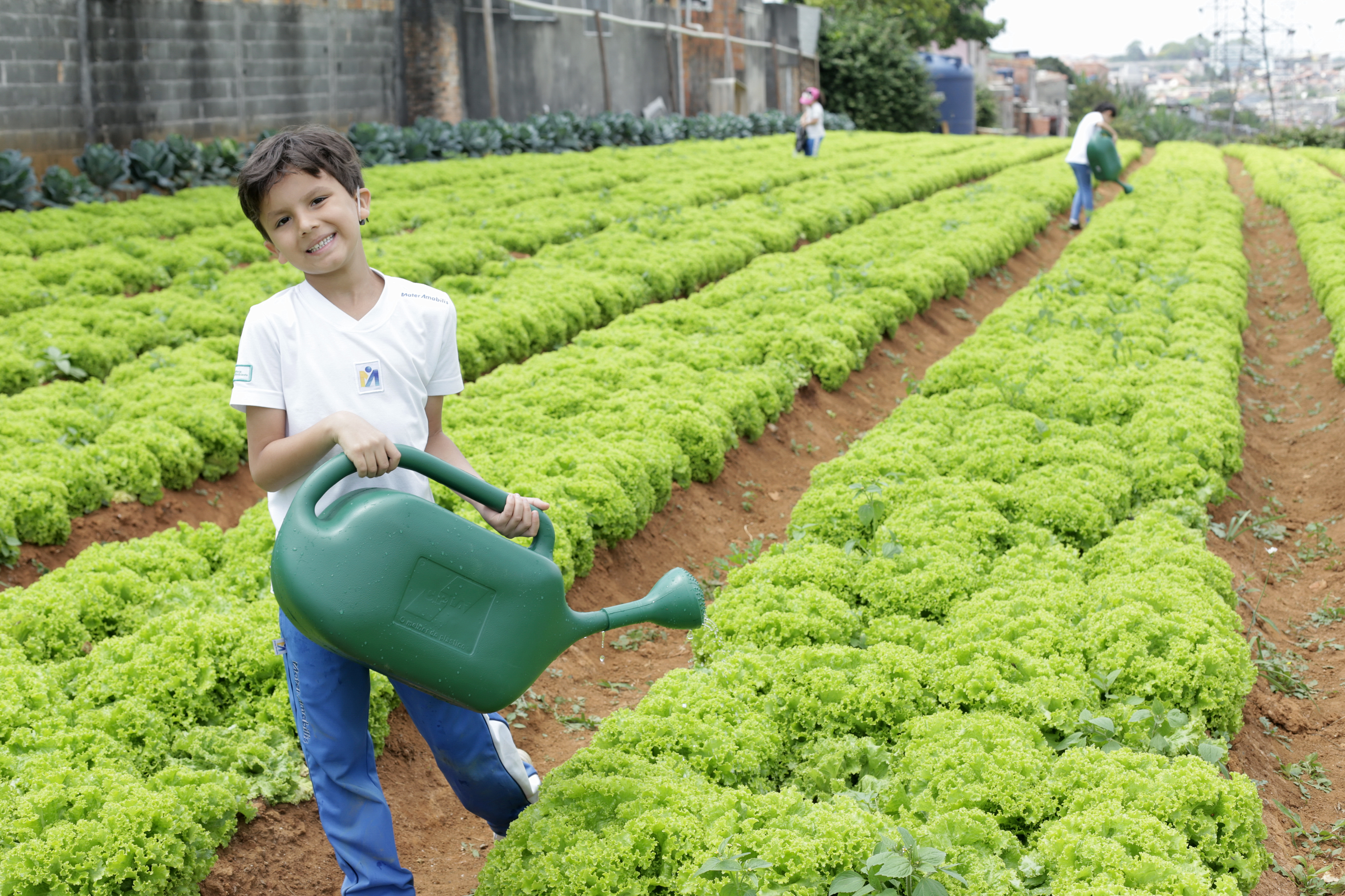 oportunidades de voluntariado no Dia da Terra